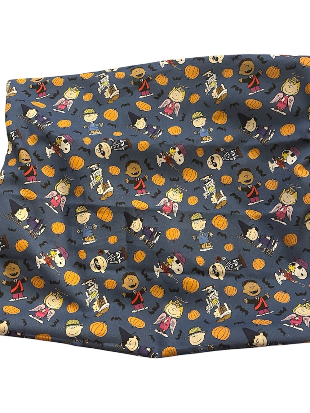 Halloween Peanuts Pillow Case/Cover 17 by 15 Hand Sewn